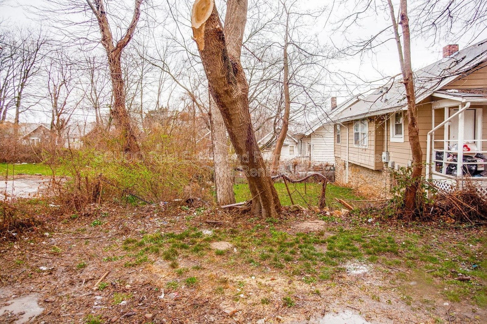 Check out this 3 Bedroom 1 Bath Home in Kansas City! property image