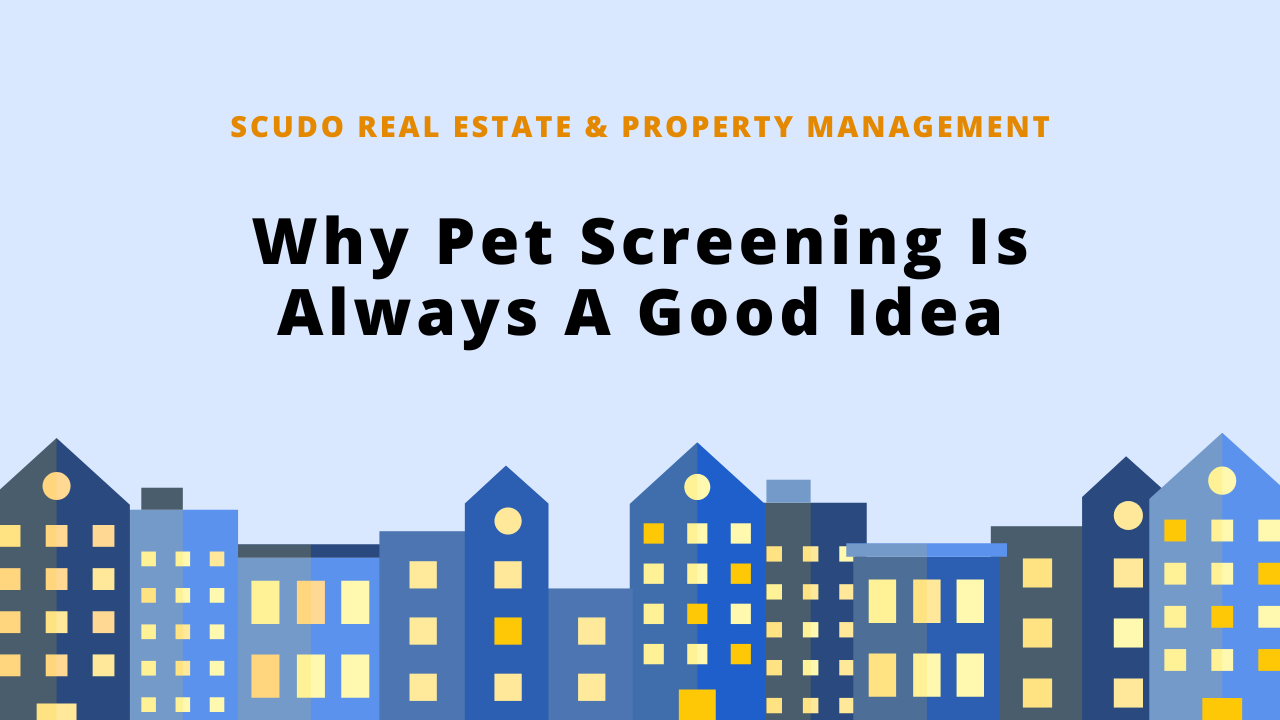 Why Pet Screening Is Always A Good Idea